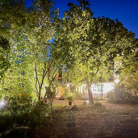 Star Wish B&B Dongshan  Εξωτερικό φωτογραφία